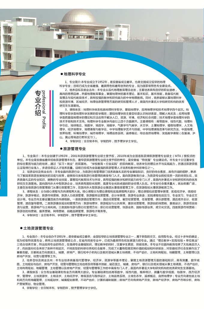  91网站