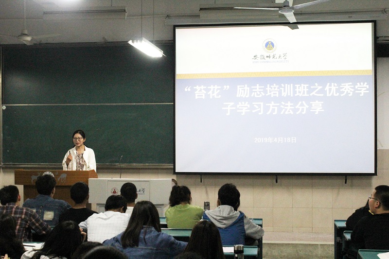 91网站