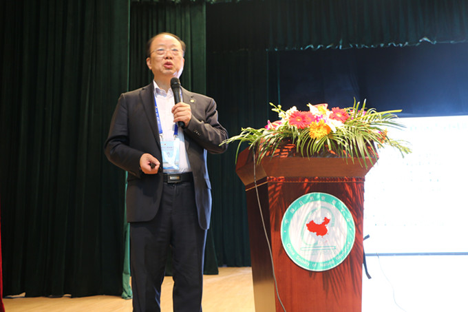 91网站