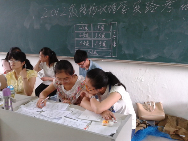 91网站