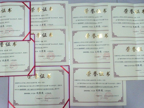91网站