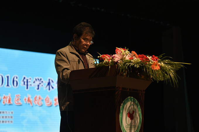 91网站