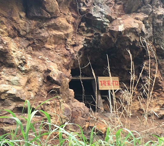  91网站