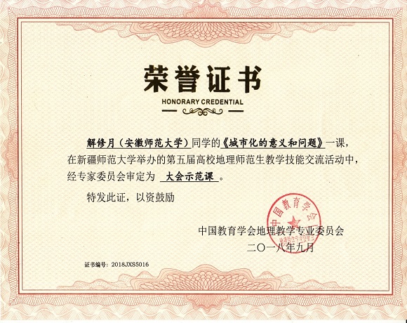 91网站