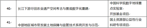  91网站