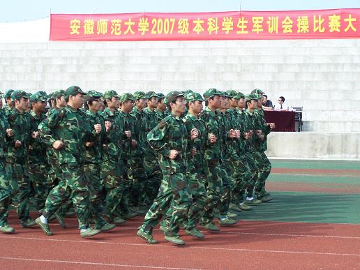  91网站