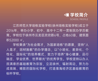  91网站