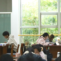  91网站